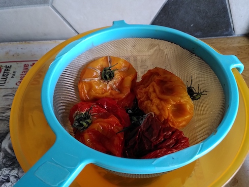 tomates déssechées